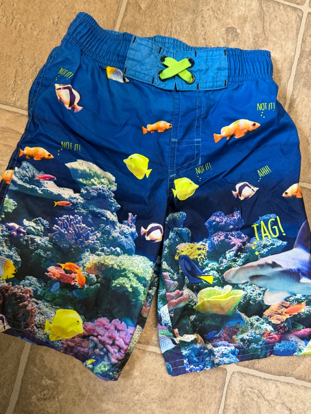 Cat & Jack Boy’s Blue Ocean Life Swim Shorts